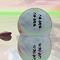 Rock Garden