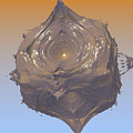 Diatom no. 3